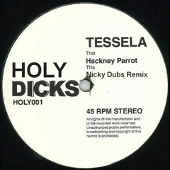 Tessela - Hackney Parrot (Nicky Dubs Remix)