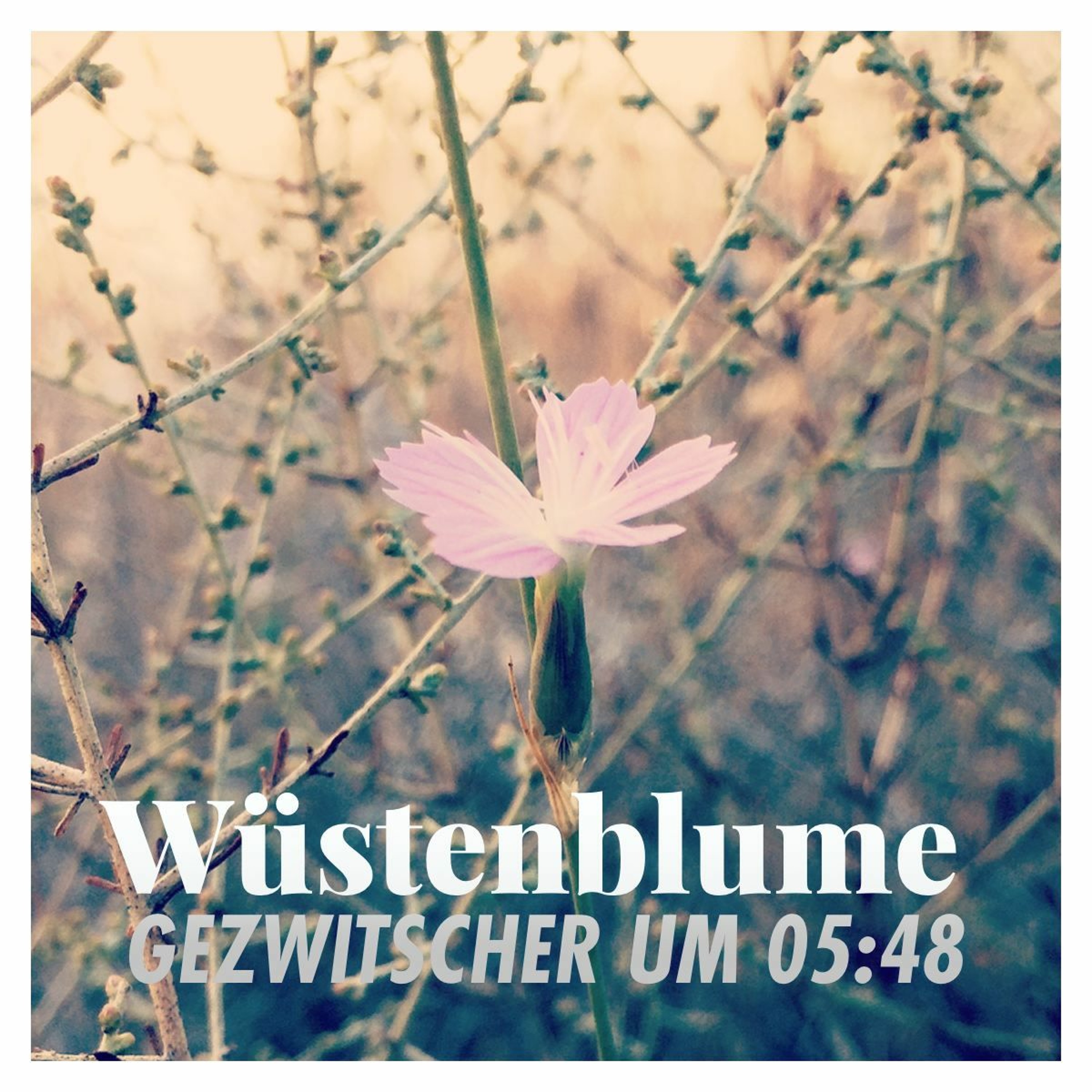 Hallo, ich bin\'s.