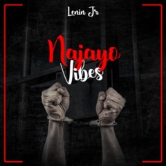 Lenin Jr - Najayo Vibes 💜(Audio Official)