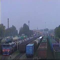 FWTK(fuk wit tha kid)