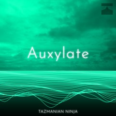 Auxylate (Extended Club Mix)