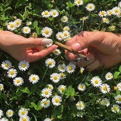 Take A Hit Like This
