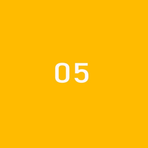 borderline 05: for the patient