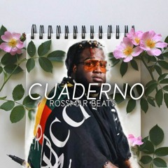 'CUADERNO' 📕 | Sech x Alex Rose x Lenny Tavarez Type Beat | Dancehall x Riddim Instrumental