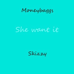 She Want It ft. lil Skizzy (prod. Josh Petruccio)