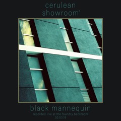 Black Mannequin - Cerulean Showroom 2