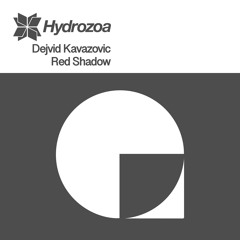 Dejvid Kavazovic -Diva (Original Mix)