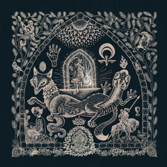 Petrels - Tiny Specks of Light