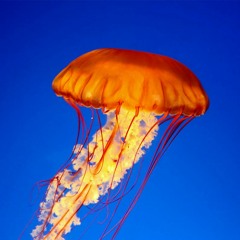 Breathing Underwater