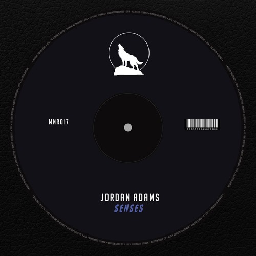 Senses (Original Mix)