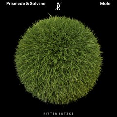 PREMIERE: Prismode & Solvane — Mole (Original Mix) [Ritter Butzke Studio]