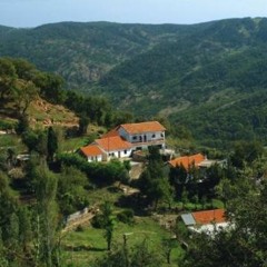 Alf Thneya we Thneya Ep47: Les ateliers du pasteur américain Belfiri renaissent de leurs cendres