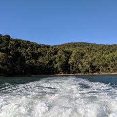 From a place of optimism - Mix for Radio Quantica