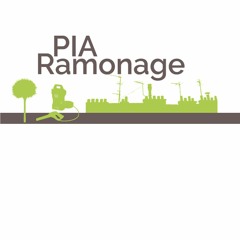 Ramonage