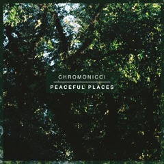 chromonicci. - Peaceful Places (12" Vinyl - Out now)