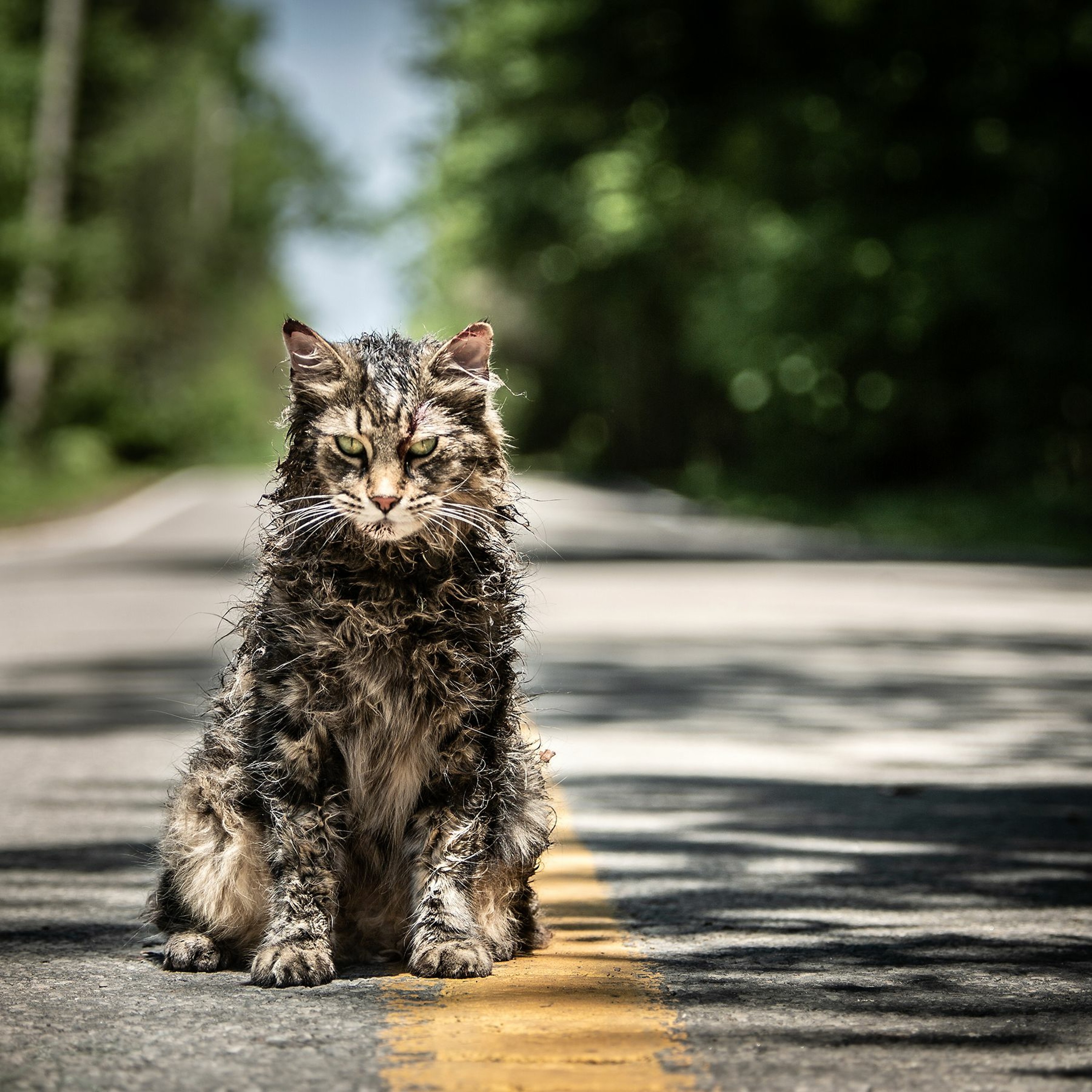 Ep 159 - Hot Takes - Pet Sematary (2019) episode artwork