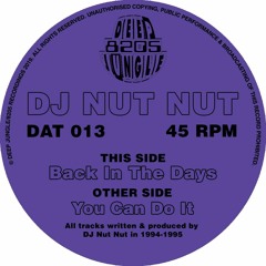 DJ Nut Nut - Back in the Days  [DAT013/8205-009] clip