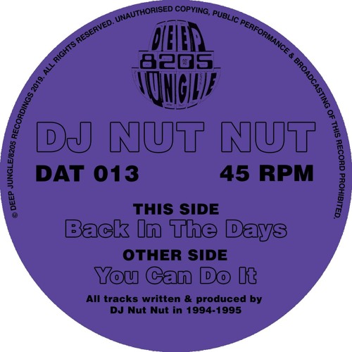 DJ Nut Nut - You Can Do It [DAT013/8205-009]  clip