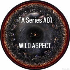 BMFAB Podcasts [TA Series #01] - WILD ASPECT "Planetarium"