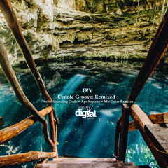 D!Y - Cenote Groove {Mir Omar Remix} Stripped Digital