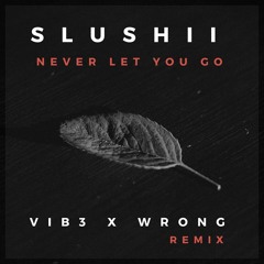 Slushii - Never Let You Go ( Vib3 X Wrong Remix )