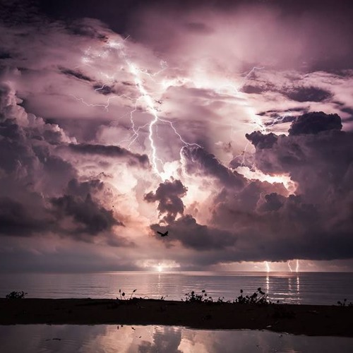 skrillex & Damian  Marley   Make it Bun Dem   Remix