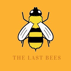 Can't Wait by The Last Bees