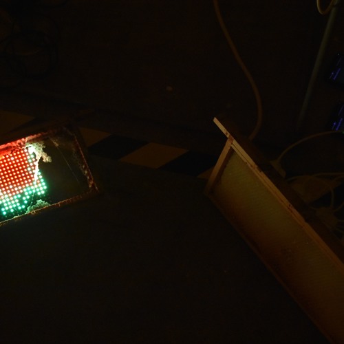 Stream Bee Composed Live Lily Hunter Green Tom Moore by Lily Green Listen online for free on