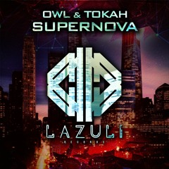 SUPERNOVA - OWL & TOKAH ( FREEDOWNLOAD )