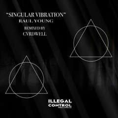 Raul Young - Singular Vibration (Original Mix)