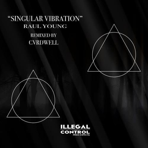 Raul Young - Singular Vibration (Original Mix)