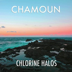 Chlorine Halos