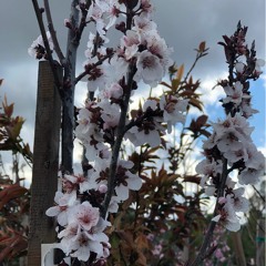 Creative Nourishment