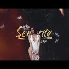 QBIK - Seniorita (prod. Danny Beatz)