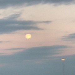 I Wish I Could Move You