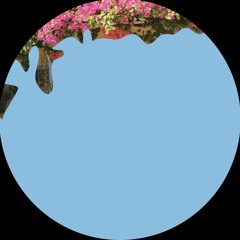 [CKNOWLP1] Eluize - Confide LP