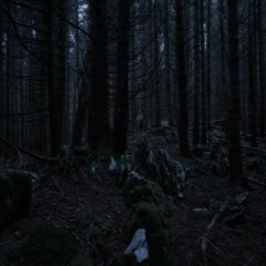 Distant Wolf Howling & Owl Hooting | West Slovenia, Europe