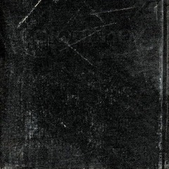 Flipper Gianni (SOLD)