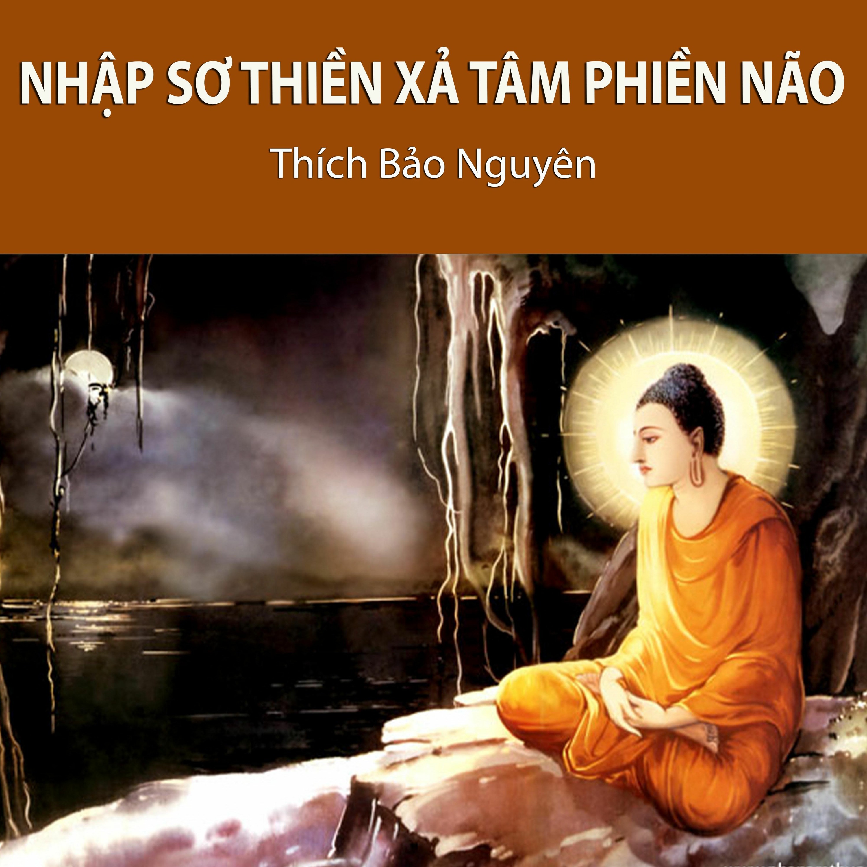 Nhập Sơ Thiền Xả Tâm Phiền Não episode artwork