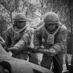 Michał Turowski - Samosely