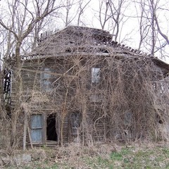 Rosedale Daydream (Back in the Room)
