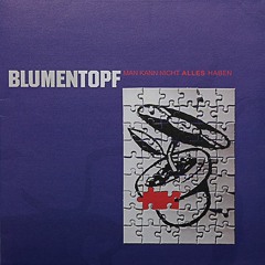 Blumentopf - Man Kann Nicht Alles Haben (Seasinho Remix)