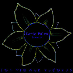 Dario Puleo - Soave (Original mix)