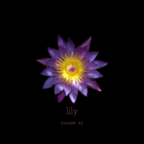 Stream Lily By Tucker Hd Listen Online For Free On Soundcloud Stream Lily By Tucker Hd Listen Online For Free On Soundcloud