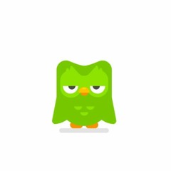 Push (A Duolingo Song)