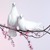 Artwork for Doves