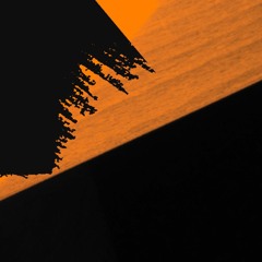 TT-TeCH Anaconda (original remix preview)