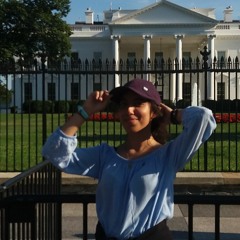 from the moon to earth