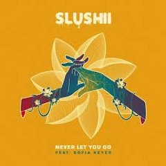 Slushii feat. Sofía Reyes - Never Let You Go (Nanoo Remix)