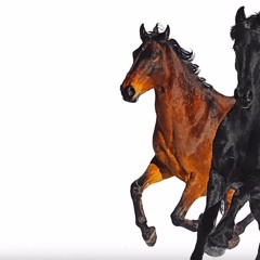 Lil Nas X ft. Billy Ray Cyrus - Old Town Road (Remix) [Acapella] - FREE UNPITCHED DL IN DESCRIPTION